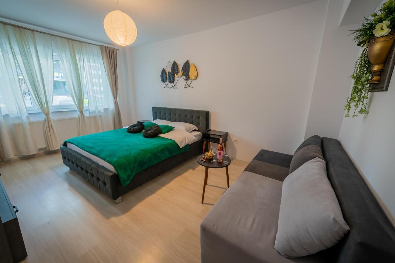 Coresi Vibe Studio Braşov Buitenkant foto