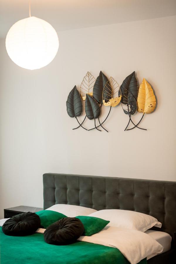 Coresi Vibe Studio Braşov Buitenkant foto