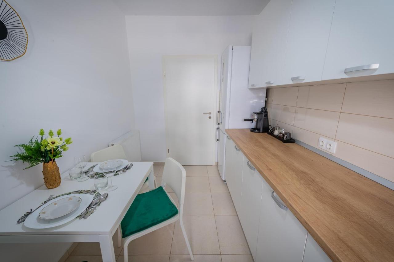Coresi Vibe Studio Braşov Buitenkant foto