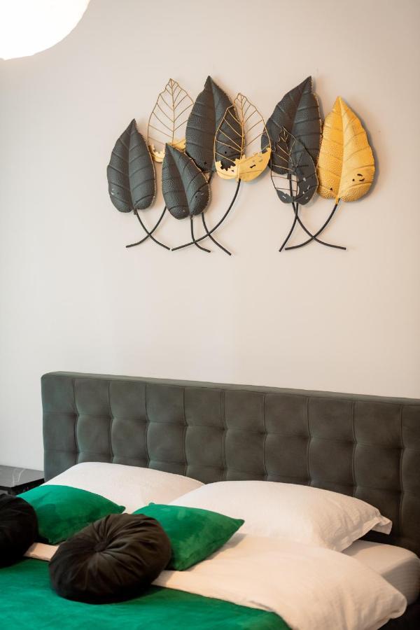 Coresi Vibe Studio Braşov Buitenkant foto