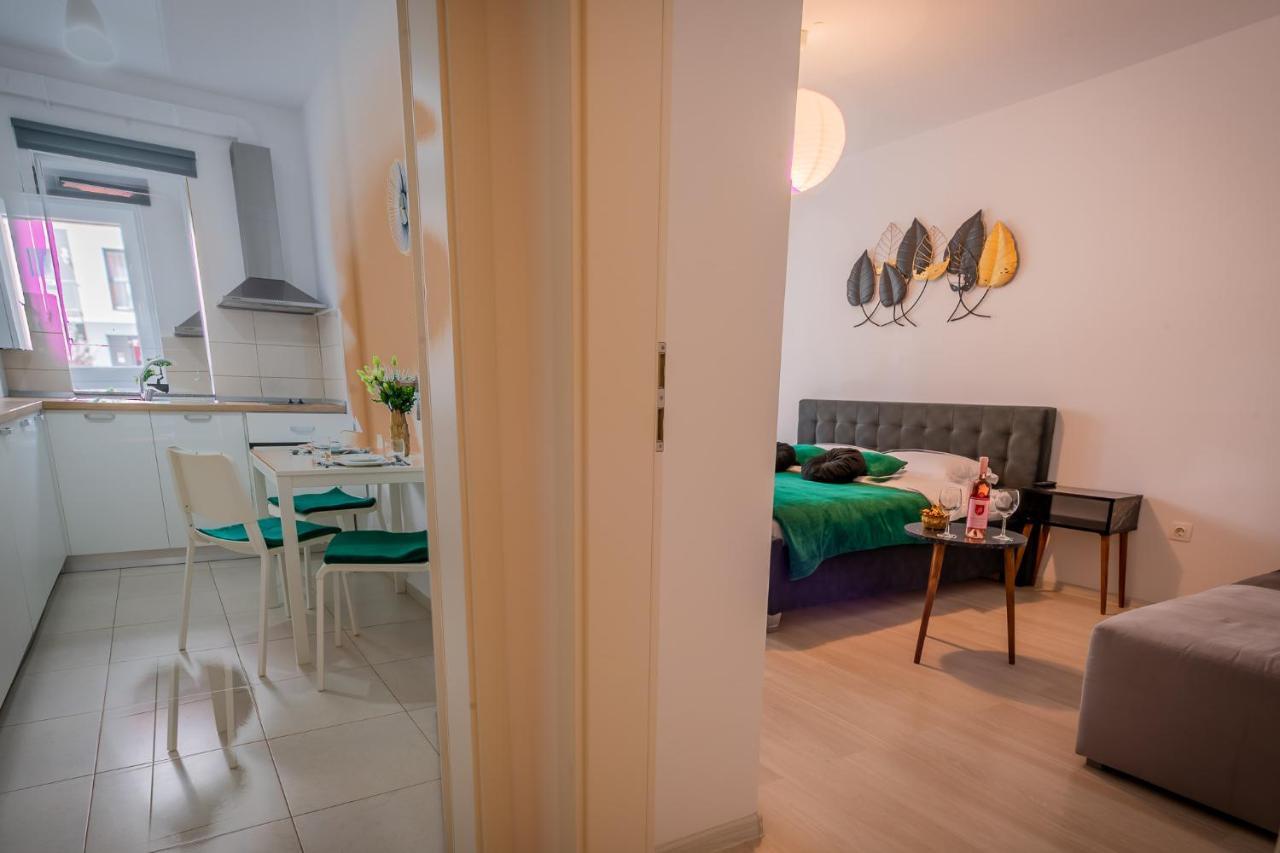 Coresi Vibe Studio Braşov Buitenkant foto