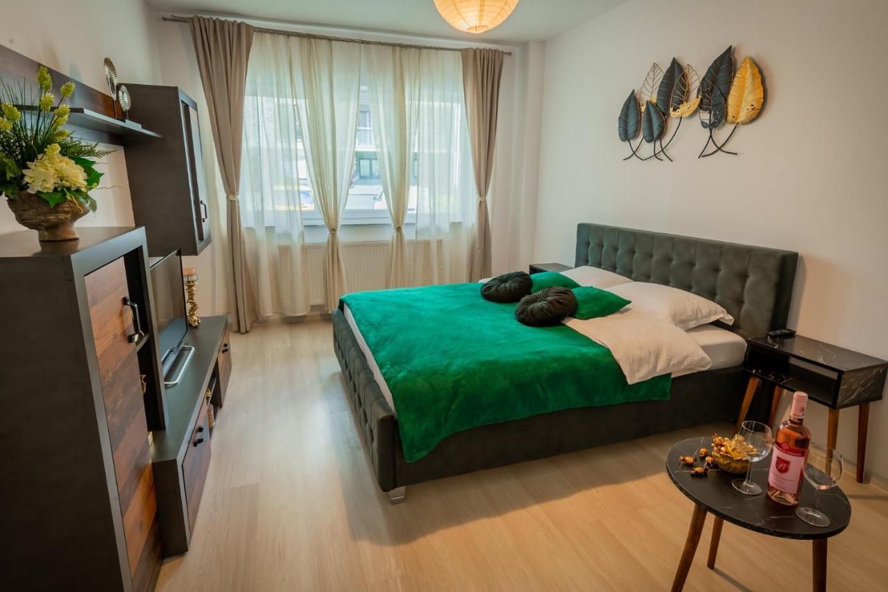 Coresi Vibe Studio Braşov Buitenkant foto